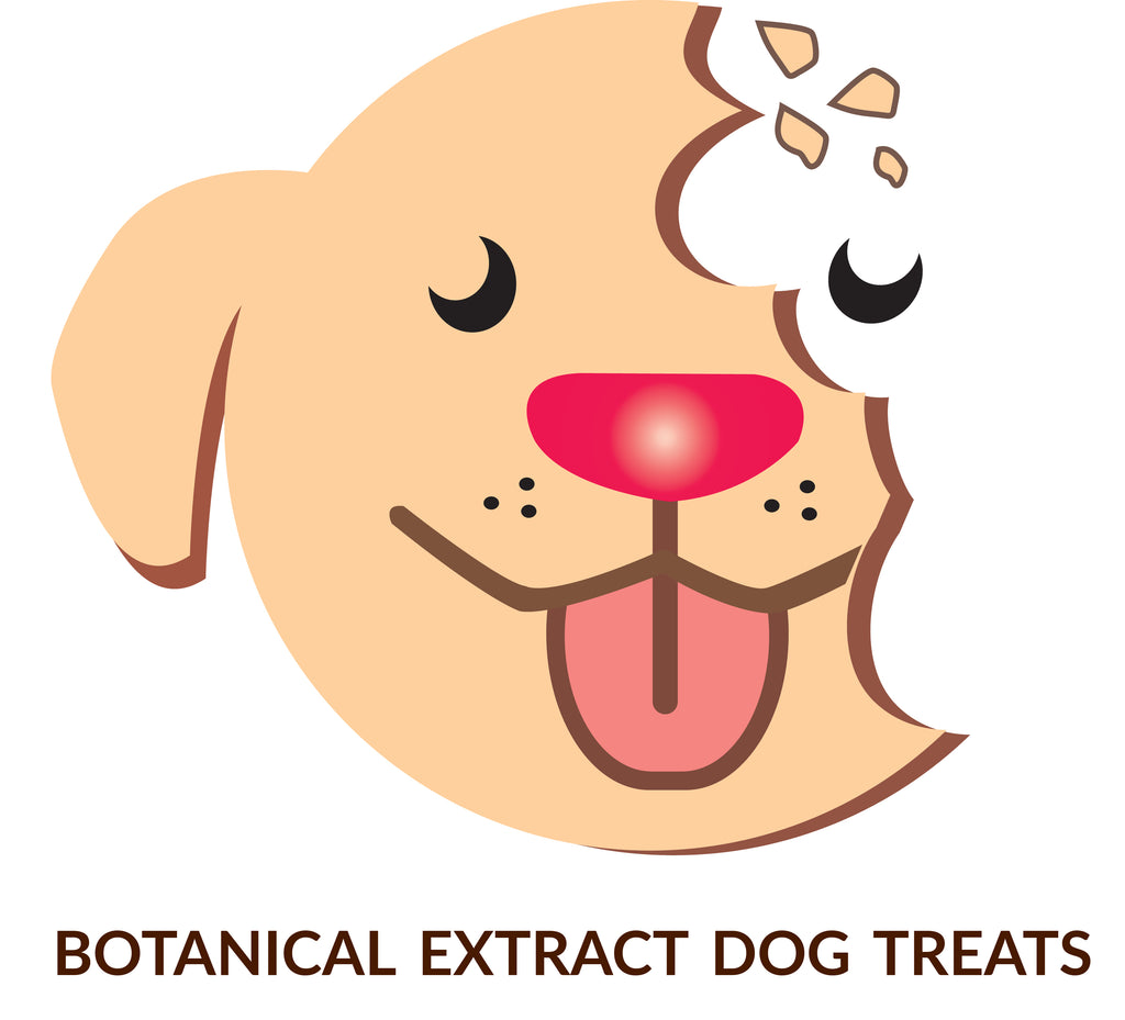 Hemp Extract Doggy Treats